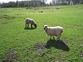 2011 UK England Beamish 0485